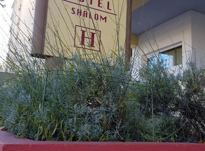 Nordeste Shalom 2* 바라간카